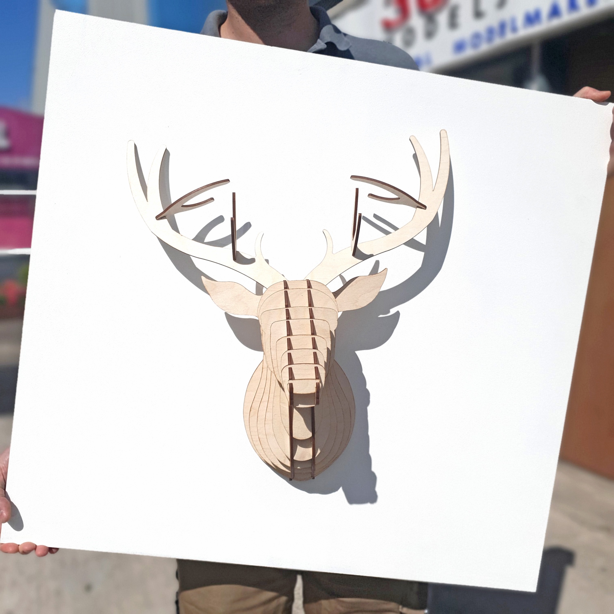 3D Stag Ply Animal Head